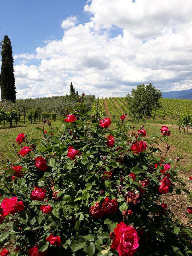 La Vecchia Quercia Vila Pergine Valdarno Exterior foto