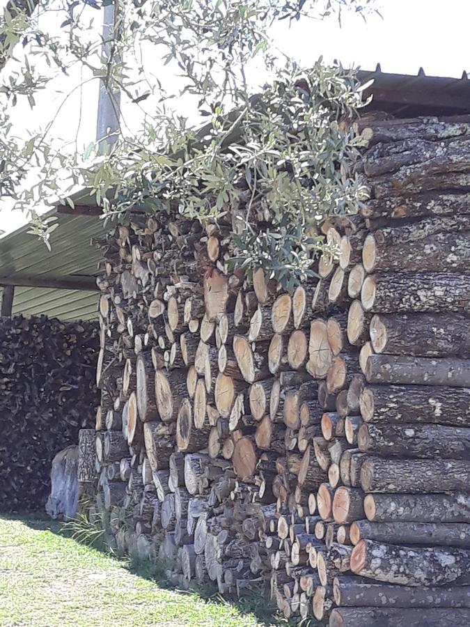 La Vecchia Quercia Vila Pergine Valdarno Exterior foto